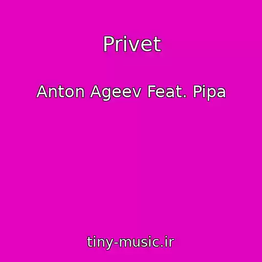 کاور آهنگ Privet از Anton Ageev Feat. Pipa