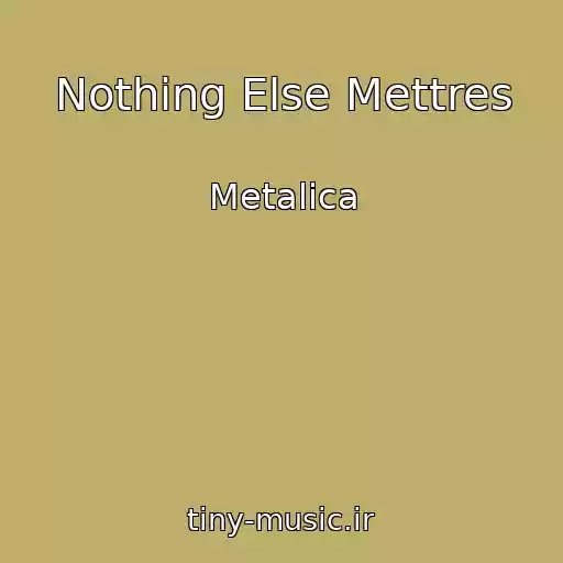 کاور آهنگ Nothing Else Mettres از Metalica