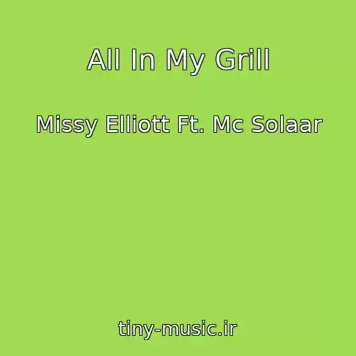 کاور آهنگ All In My Grill از Missy Elliott Ft. Mc Solaar