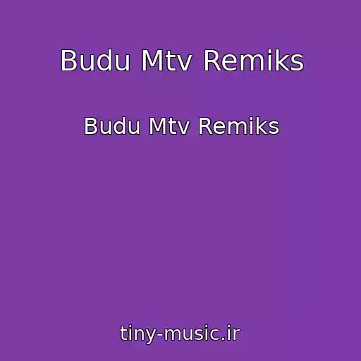 کاور آهنگ Budu Mtv Remiks از Budu Mtv Remiks