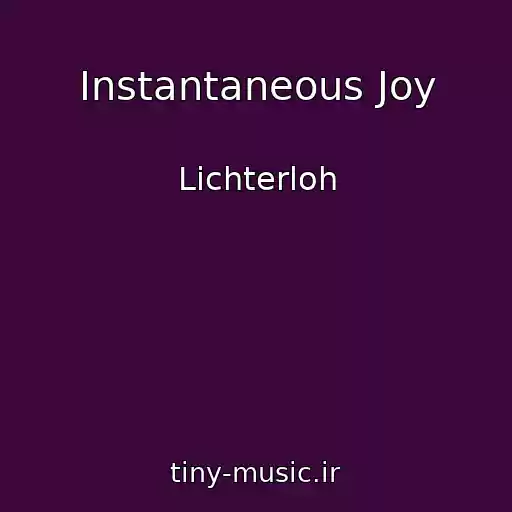 کاور آهنگ Instantaneous Joy از Lichterloh