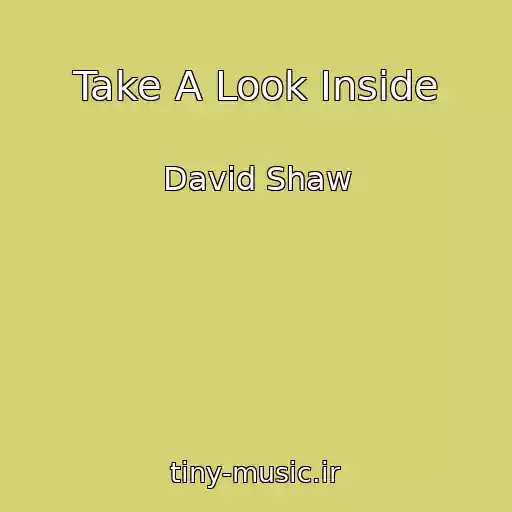 کاور آهنگ Take A Look Inside از David Shaw