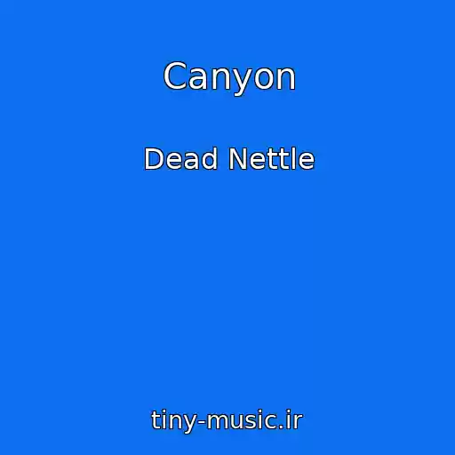 کاور آهنگ Canyon از Dead Nettle