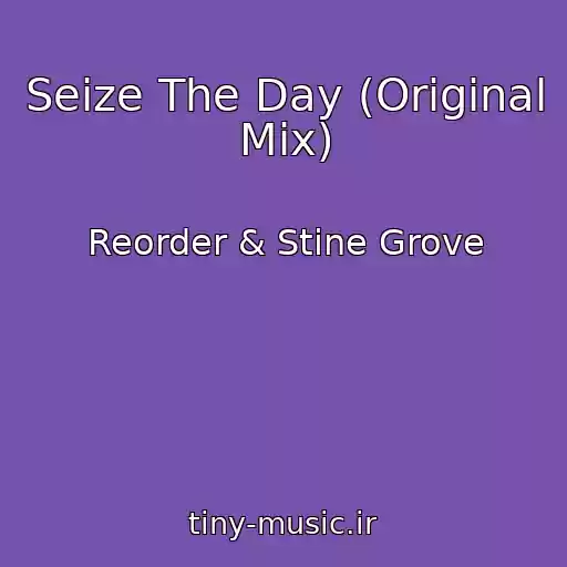 کاور آهنگ Seize The Day (Original Mix) از Reorder & Stine Grove