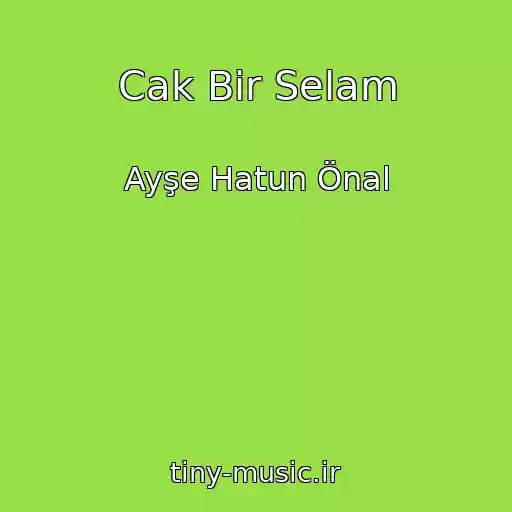 کاور آهنگ Cak Bir Selam از Ayşe Hatun Önal