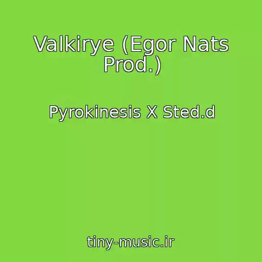 کاور آهنگ Valkirye (Egor Nats Prod.) از Pyrokinesis X Sted.d