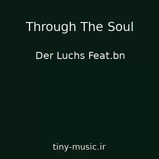 کاور آهنگ Through The Soul از Der Luchs Feat.bn