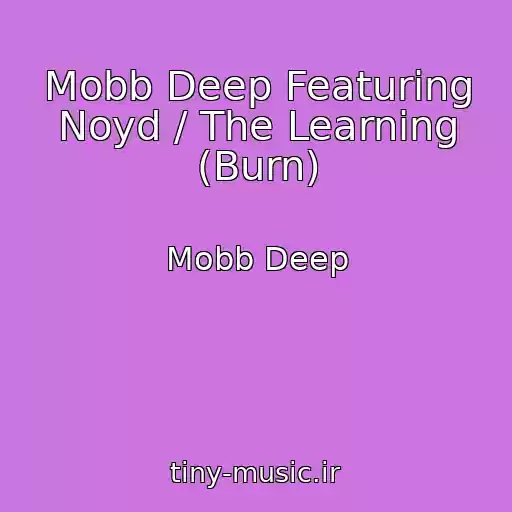 کاور آهنگ Mobb Deep Featuring Noyd / The Learning (Burn) از Mobb Deep