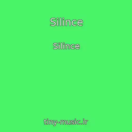 کاور آهنگ Silince از Silince