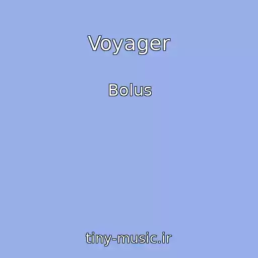 کاور آهنگ Voyager از Bolus