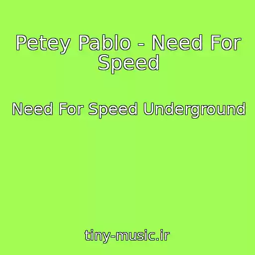 کاور آهنگ Petey Pablo - Need For Speed از Need For Speed Underground
