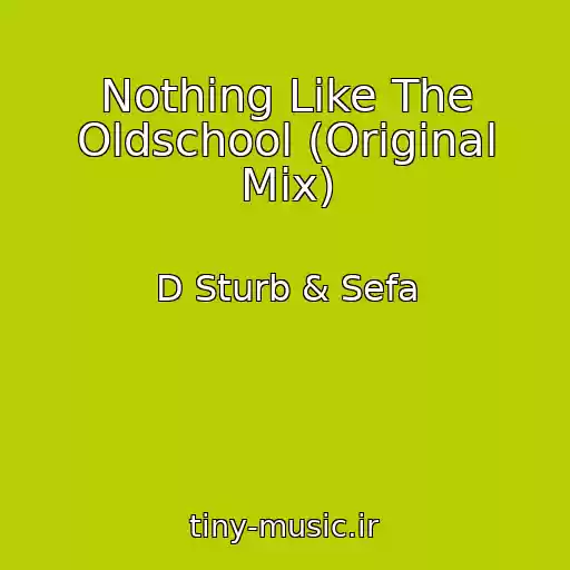 کاور آهنگ Nothing Like The Oldschool (Original Mix) از D Sturb & Sefa