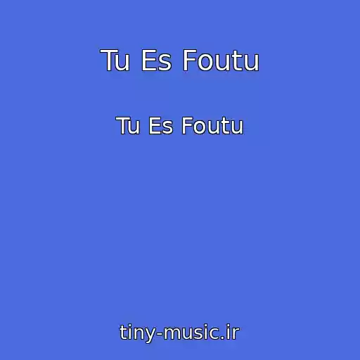 کاور آهنگ Tu Es Foutu از Tu Es Foutu