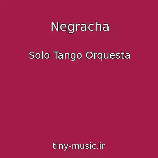 کاور آهنگ Negracha از Solo Tango Orquesta