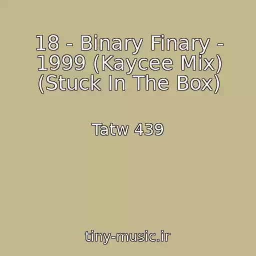 کاور آهنگ 18 - Binary Finary - 1999 (Kaycee Mix) (Stuck In The Box) از Tatw 439