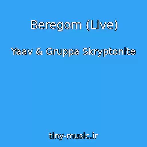 کاور آهنگ Beregom (Live) از Yaav & Gruppa Skryptonite