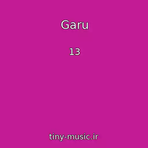 کاور آهنگ Garu از 13