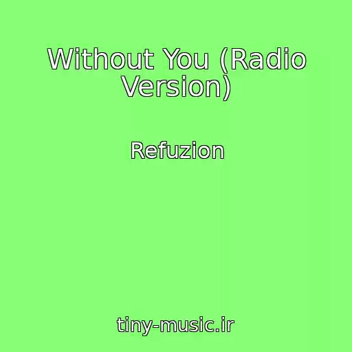 کاور آهنگ Without You (Radio Version) از Refuzion