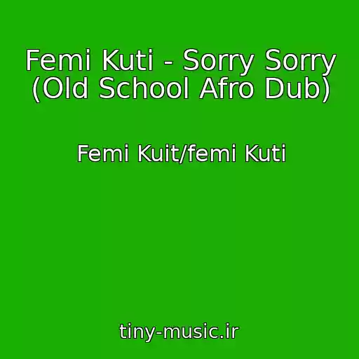 کاور آهنگ Femi Kuti - Sorry Sorry (Old School Afro Dub) از Femi Kuit/femi Kuti