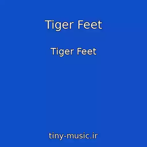 کاور آهنگ Tiger Feet از Tiger Feet