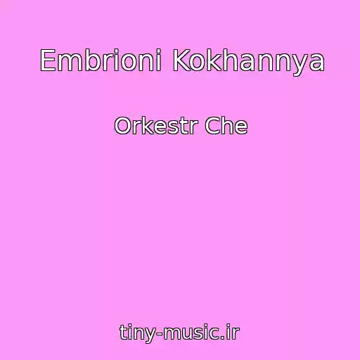 کاور آهنگ Embrіoni Kokhannya از Orkestr Che