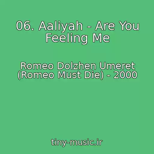 کاور آهنگ 06. Aaliyah - Are You Feeling Me از Romeo Dolzhen Umeret (Romeo Must Die) - 2000