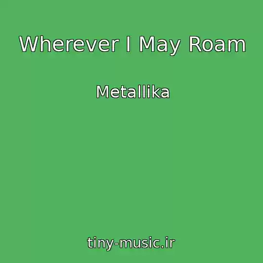 کاور آهنگ Wherever I May Roam از Metallika