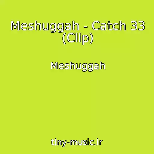 کاور آهنگ Meshuggah - Catch 33 (Clip) از Meshuggah