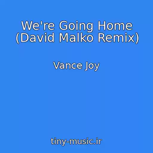 کاور آهنگ We're Going Home (David Malko Remix) از Vance Joy