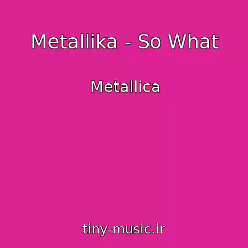 کاور آهنگ Metallika - So What از Metallica