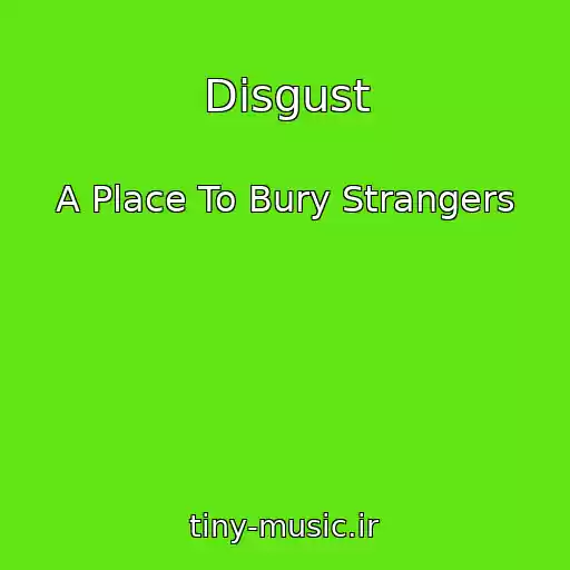 کاور آهنگ Disgust از A Place To Bury Strangers