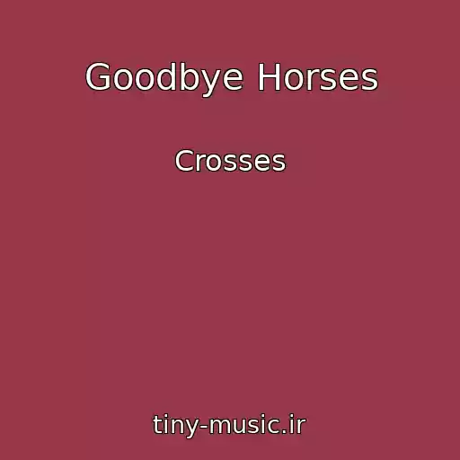 کاور آهنگ Goodbye Horses از Crosses