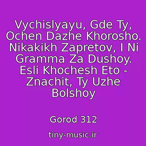 کاور آهنگ Vychislyayu, Gde Ty, Ochen Dazhe Khorosho. Nikakikh Zapretov, I Ni Gramma Za Dushoy. Esli Khochesh Eto - Znachit, Ty Uzhe Bolshoy از Gorod 312