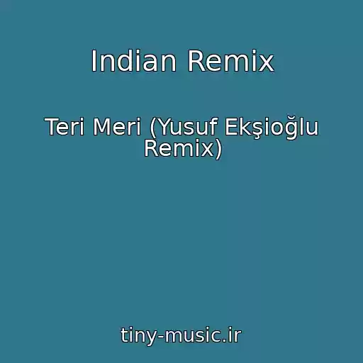 کاور آهنگ Indian Remix از Teri Meri (Yusuf Ekşioğlu Remix)