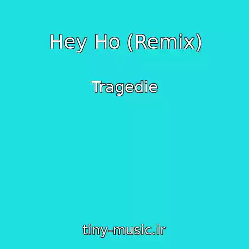 کاور آهنگ Hey Ho (Remix) از Tragedie