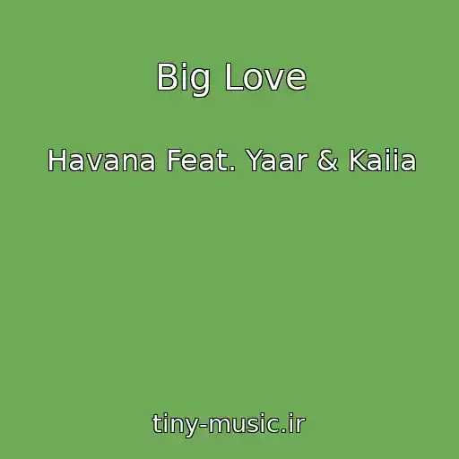 کاور آهنگ Big Love از Havana Feat. Yaar & Kaiia