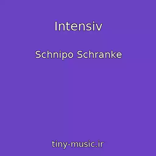 کاور آهنگ Intensiv از Schnipo Schranke