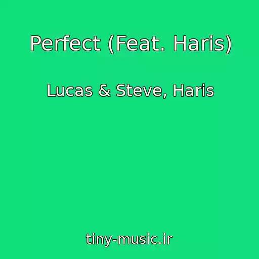 کاور آهنگ Perfect (Feat. Haris) از Lucas & Steve, Haris