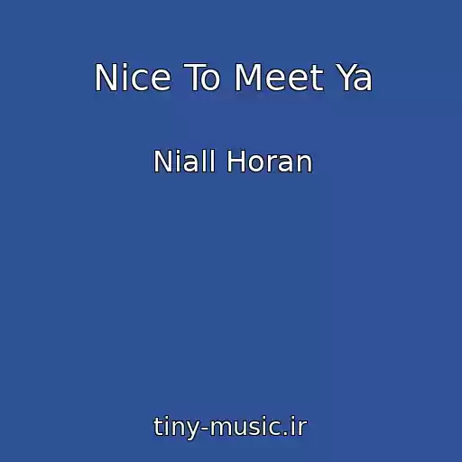 کاور آهنگ Nice To Meet Ya از Niall Horan