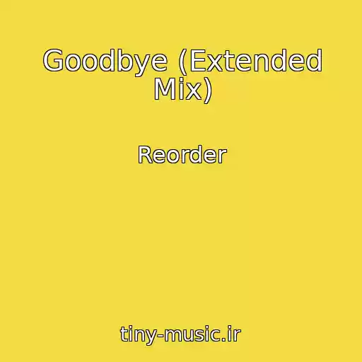 کاور آهنگ Goodbye (Extended Mix) از Reorder