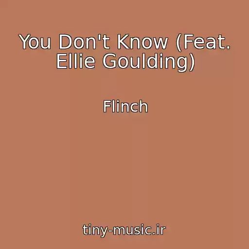 کاور آهنگ You Don't Know (Feat. Ellie Goulding) از Flinch