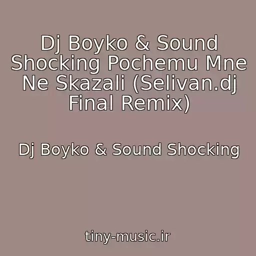 کاور آهنگ Dj Boyko & Sound Shocking Pochemu Mne Ne Skazali (Selivan.dj Final Remix) از Dj Boyko & Sound Shocking