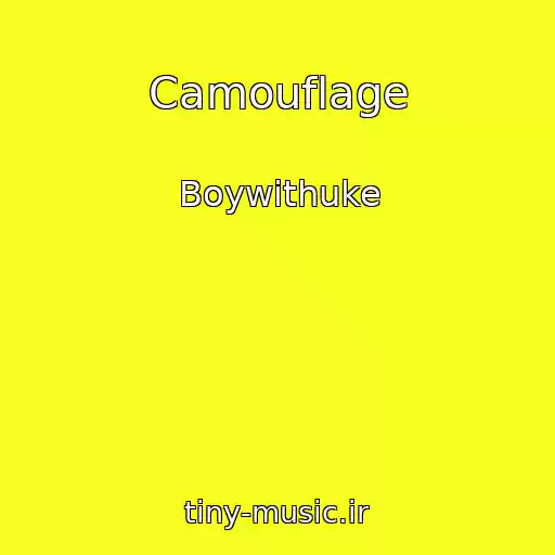کاور آهنگ Camouflage از Boywithuke