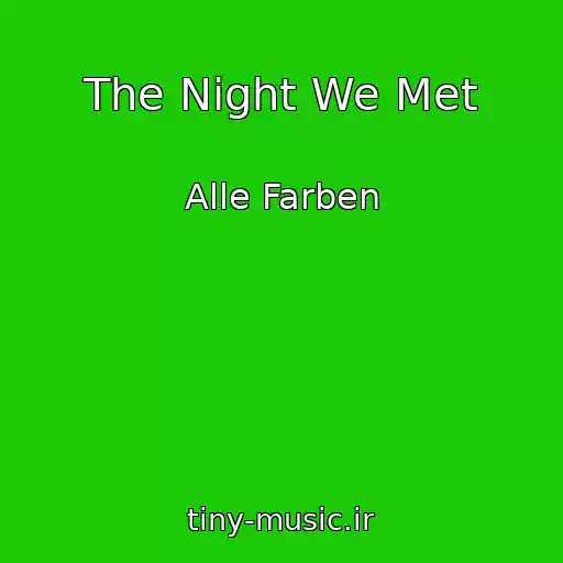 کاور آهنگ The Night We Met از Alle Farben