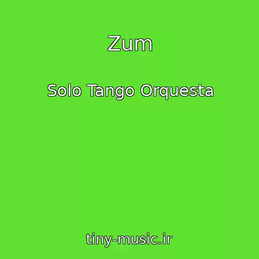 کاور آهنگ Zum از Solo Tango Orquesta