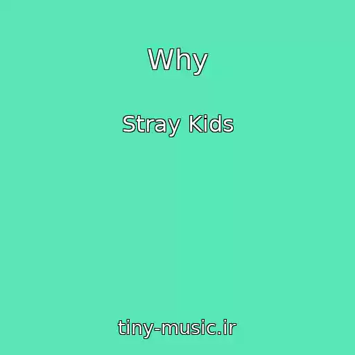کاور آهنگ Why از Stray Kids