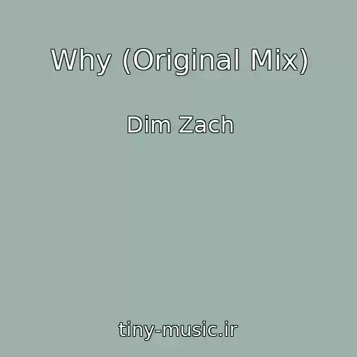 کاور آهنگ Why (Original Mix) از Dim Zach