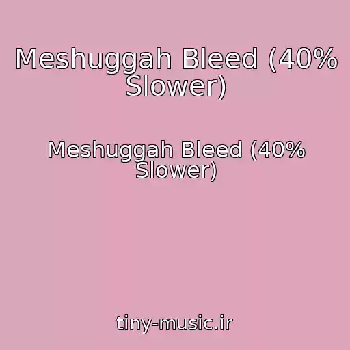 کاور آهنگ Meshuggah Bleed (40% Slower) از Meshuggah Bleed (40% Slower)