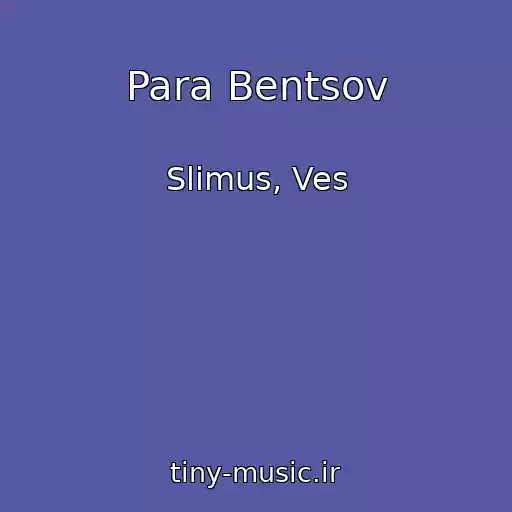 کاور آهنگ Para Bentsov از Slimus, Ves