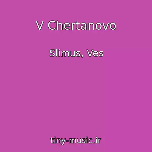 کاور آهنگ V Chertanovo از Slimus, Ves